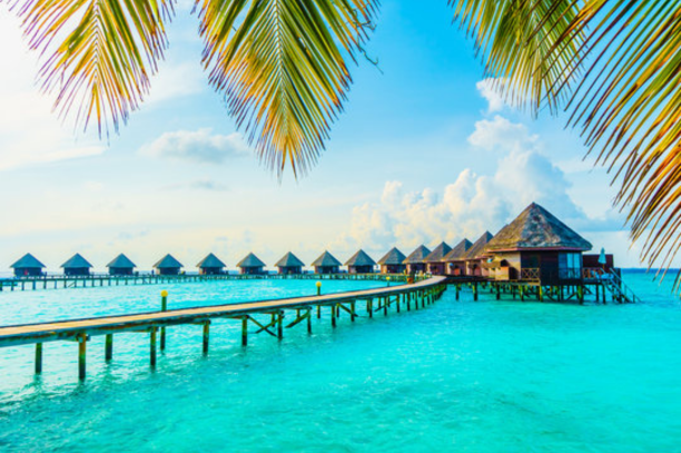Destination